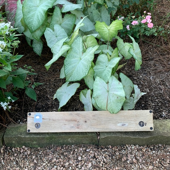 Wood Home Wall Decor/Beautiful Flower knobs. - Picture 8 of 10